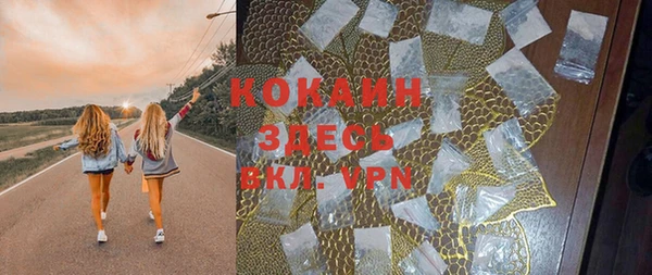 прущая мука Арсеньев
