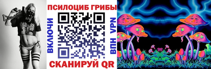 Галлюциногенные грибы Psilocybe Пугачёв